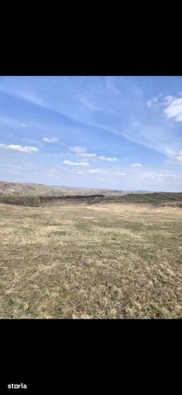 Teren de 11500 mp, în Apahida
