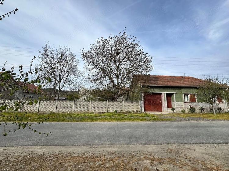 Casa de vanzare,localitatea Criciova,Jude?ul Timi? - 3