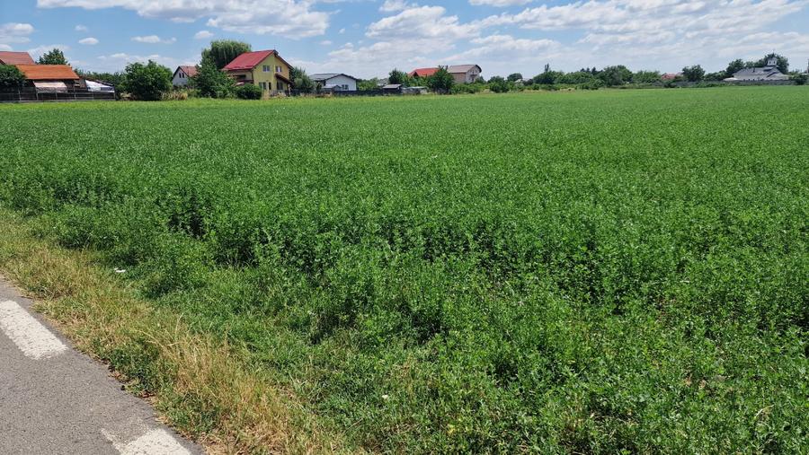 Teren intravilan in suprafata de 9470 mp – Bolintin-Deal - 3