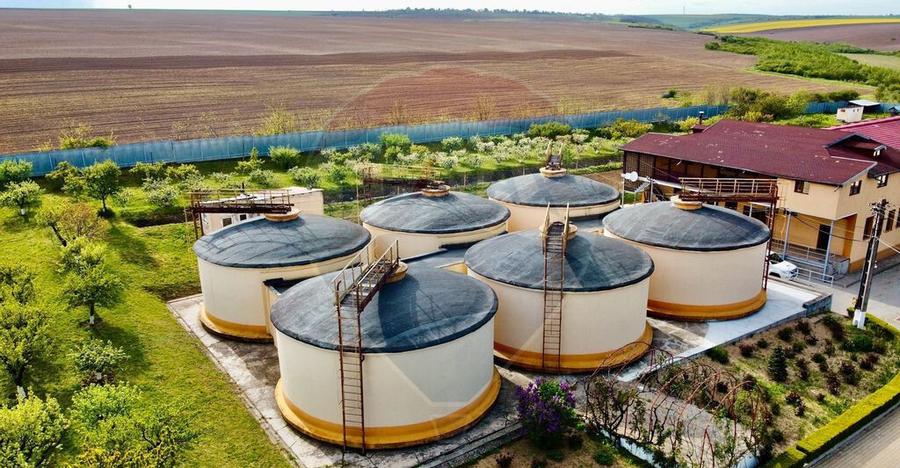 Crama din Buciumeni Afacere la cheie - 12