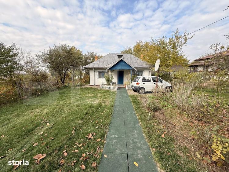 Teren EV si IV cu casa, 29.600 mp, utilitati si acces facil, Albesti - 8