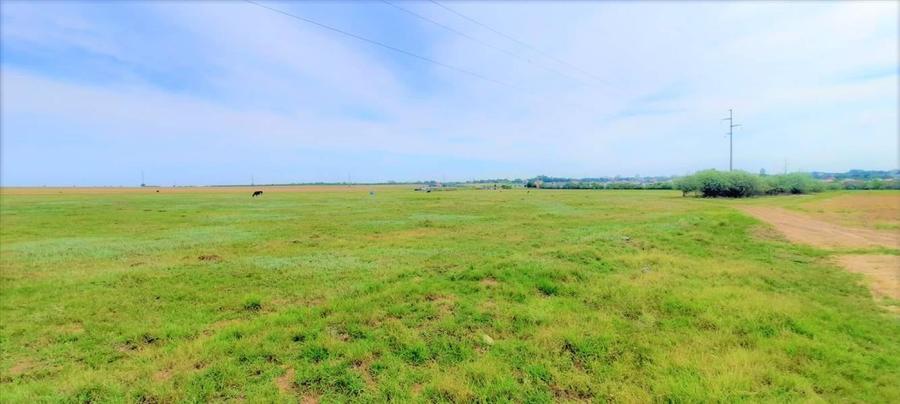 OCAZIE ! EFORIE NORD, ULTIMELE 3 LOTURI, 517 MP. 19.500 EURO IDEAL INVESTITIE ! - 10