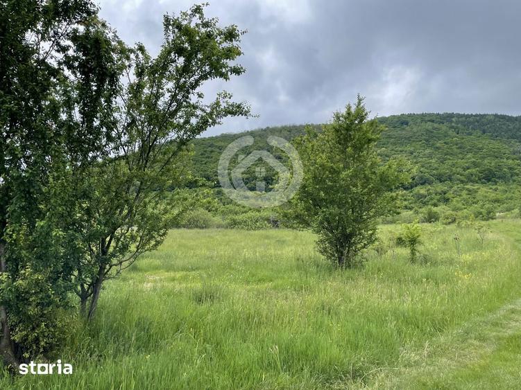 Teren extravilan de vanzare Poplaca, Sibiu | 650 mp - 2