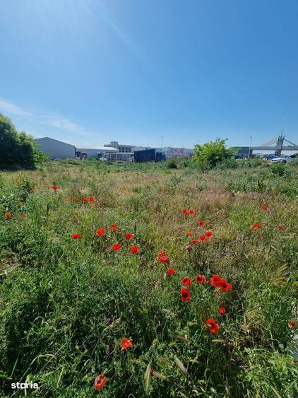 Teren intravilan Craiova -Jumbo, Promenada - 6