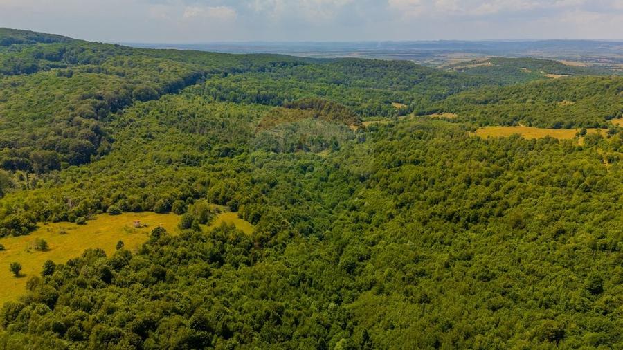 COMISION 0% Teren Grid/Inima Naturii/ Oportunitate de investitie - 13