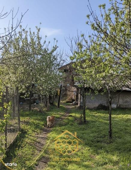 Teren 1.451 mp INTRAVILAN in Podari Toate utilitatile - 7