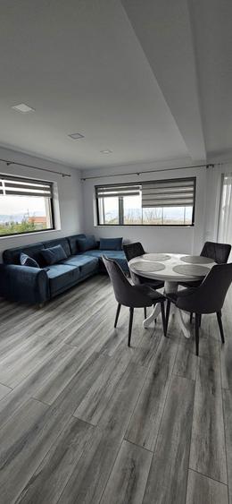 Casa individuala de inchiriat - 4