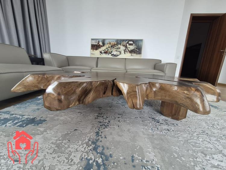 IANCU NICOLAE (ZOO)-PENTHOUSE 250 mp utili + 250 mp terasa, 3 dormitoare! - 17