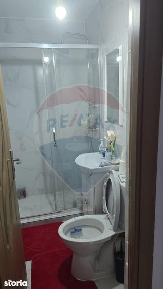 Apartament cu 2 camere de vanzare in Gura Campului - 9