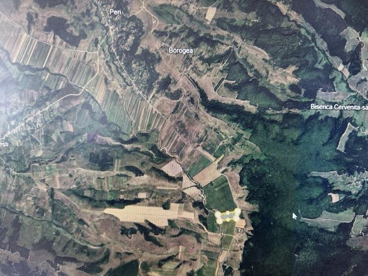 Teren de 480000 mp, în Prunișor