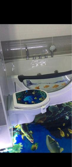 Casa in Valu lui Traian - 9