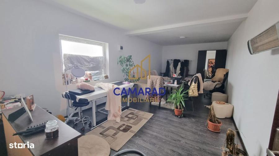 Teren de vanzare in Tamadau Mare, jud. Calarasi Strada Principala - 9