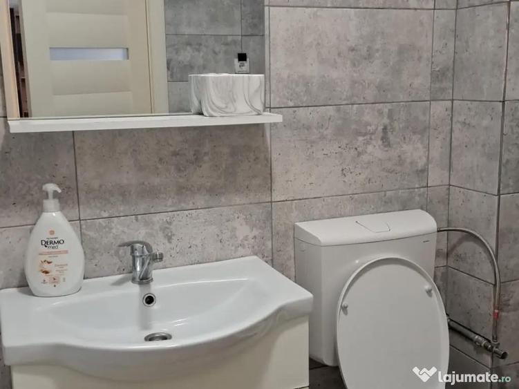 Apartament 2 camere Studio de inchiriat - ultracentral Ludus - 2