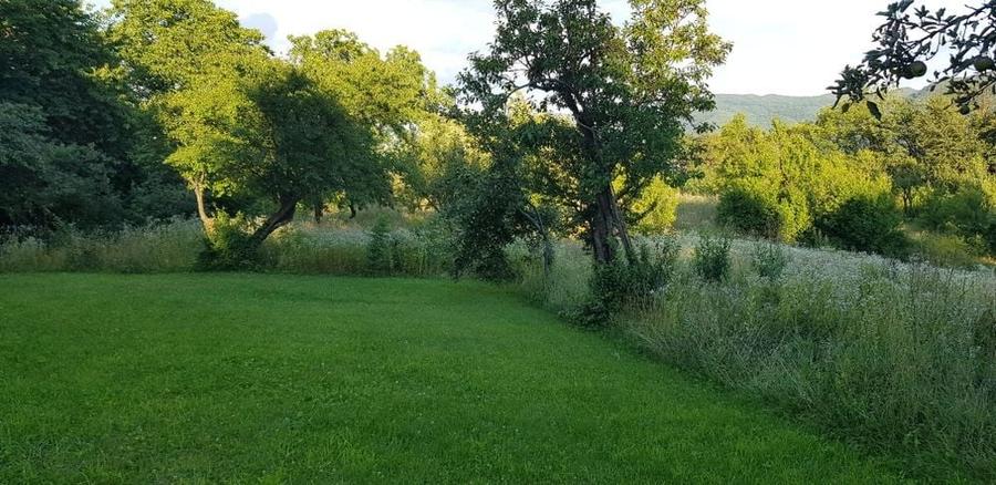 teren loturi pamant Piatra Neamt Scaricica Bisericani - 3