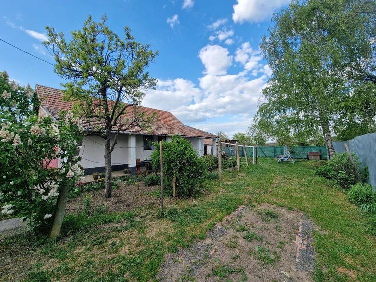 Casa de vanzare 20km Arad - 5