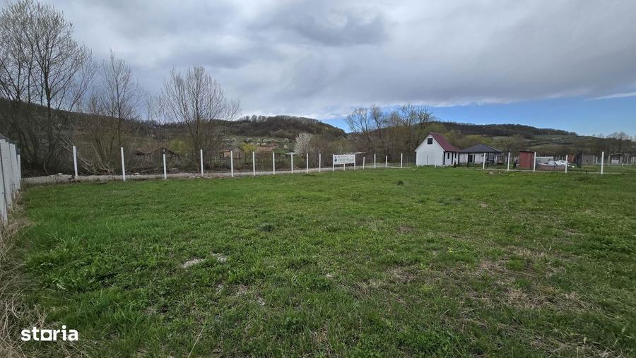 Teren drept ca-n palma - 2