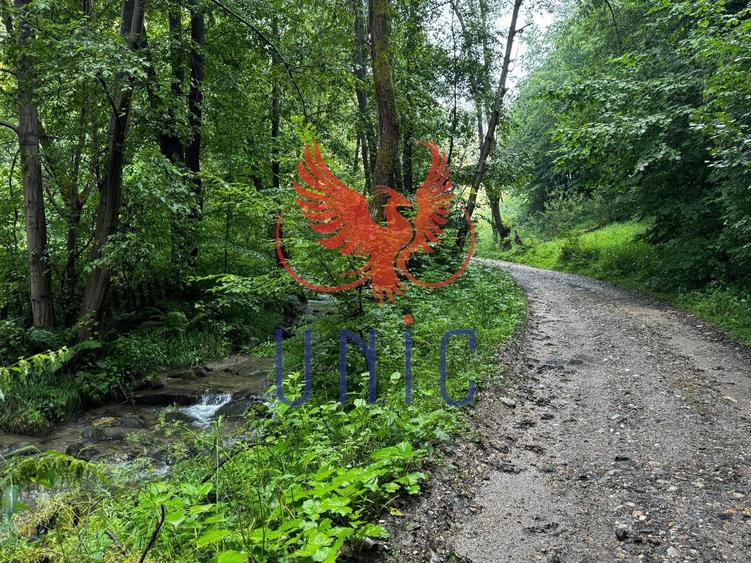 18000 mp de natura pura ,Lupeni, langa Straja - 11