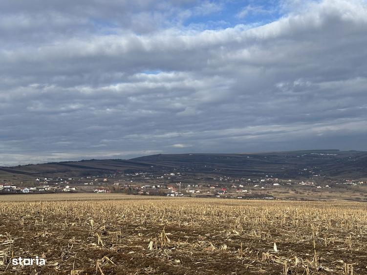 Teren Valea Fanatelor-5 km Auchan - 3