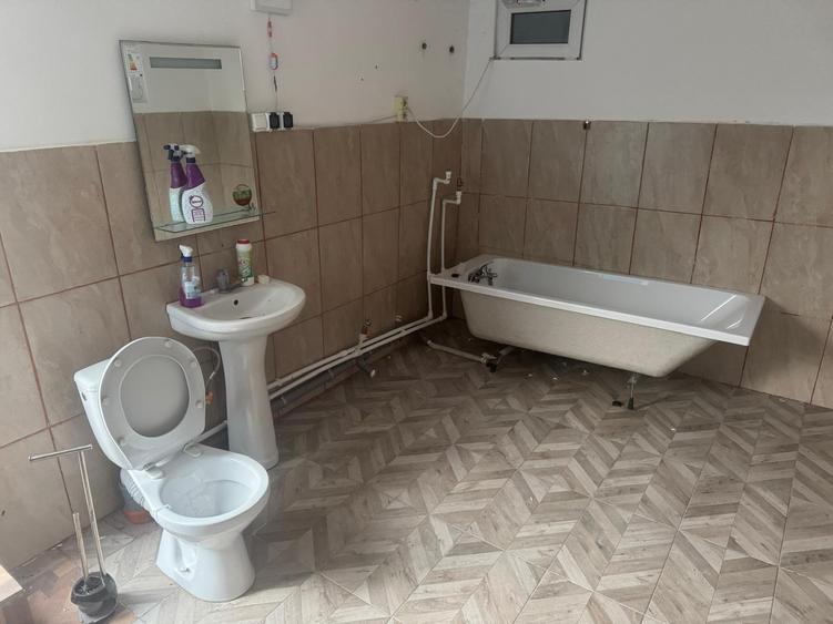 Tomesti - Osoi, vila cu spatiu comercial la parter , 2400mp teren cu iaz si pomi - 9