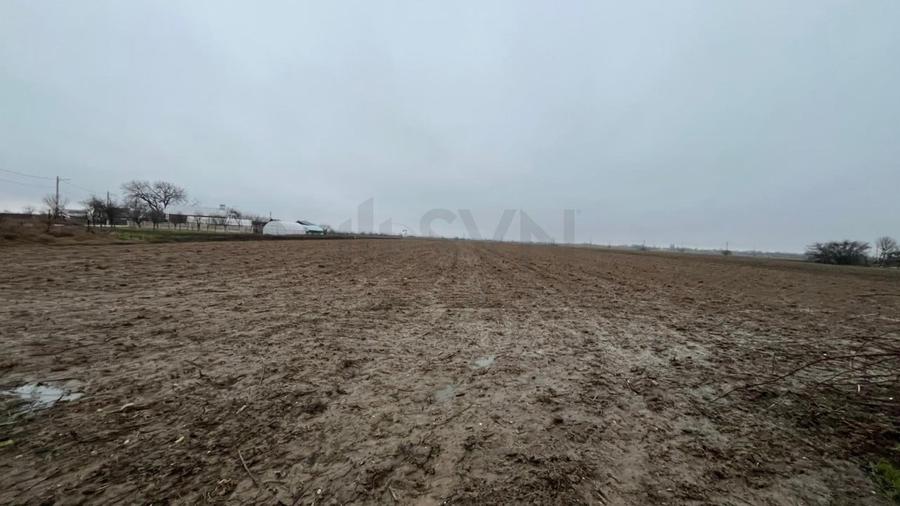 REL4001244 Teren intravilan 4200 mp zona case Merii - 3