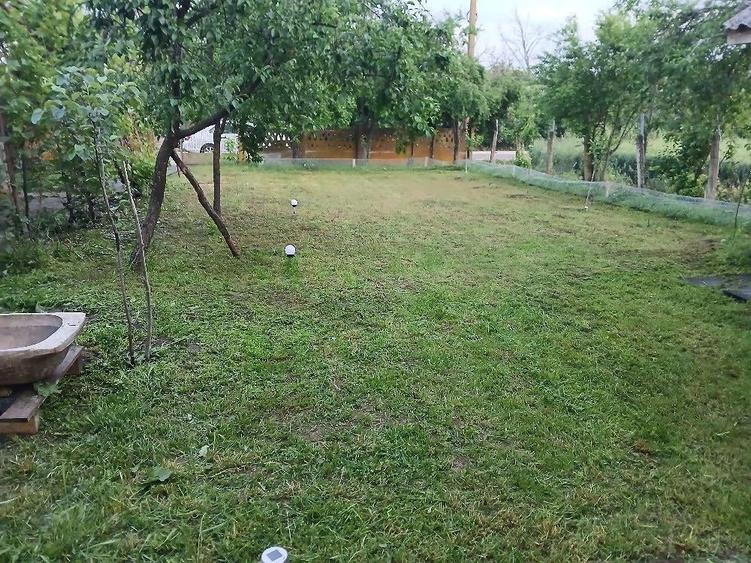 casa la tara sat Sili?tea com Vitane?ti jud Teleorman - 5