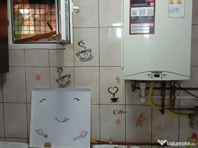 Vitan fizicienilor lacramioarei - 1