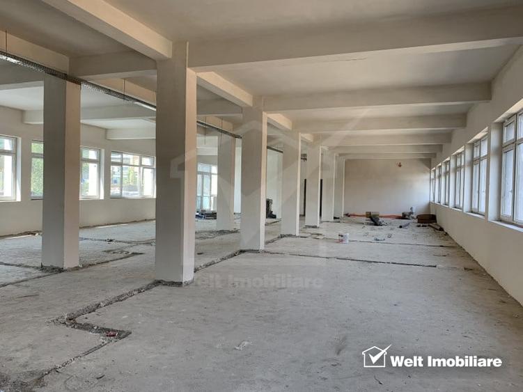 Cladire individuala SC 4900mp, teren 4500mp, Taietura Turcului - 4