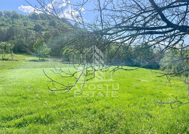 Teren intravilan, partial imprejmuit, eligibil grant- Poj... - 5