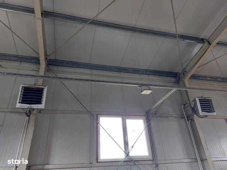 Hala 172 mp + teren 968 mp - 7