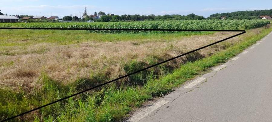 CIOLPANI, Intravilan, padurea Snagov, planul 2 DN 1 - 4