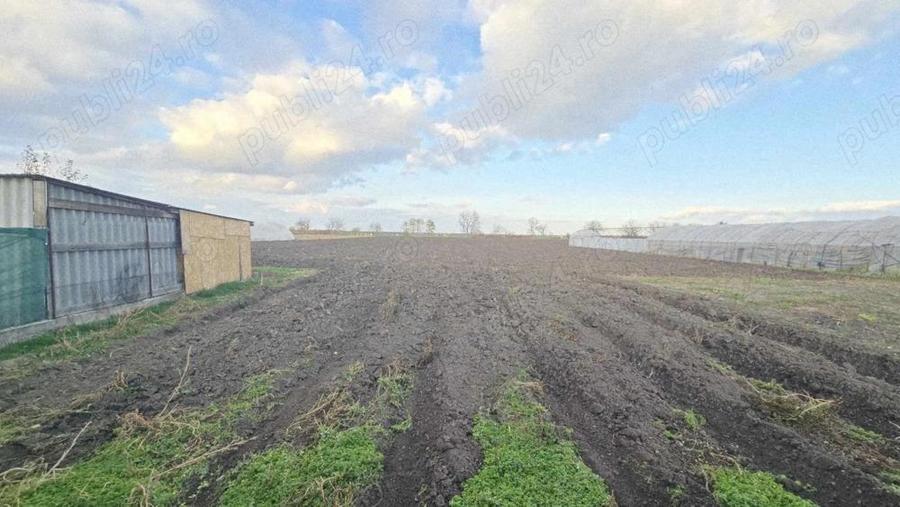 Casa de vanzare, loc. Cefa - 13