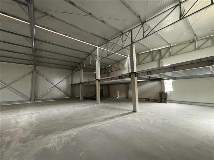 Inchiriere hala/depozit/spatiu industrial Magurele - Atomistilor, ILFOV - 8