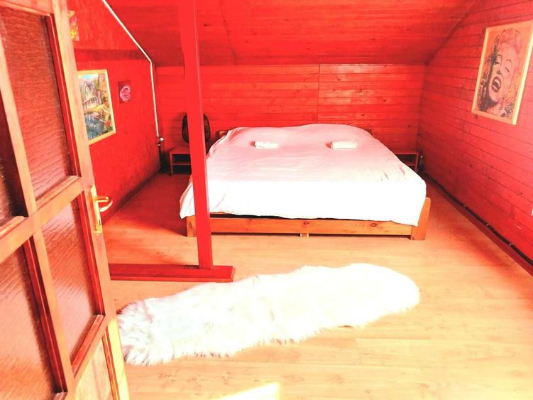 Vanzare casa de vacanta cu iesire la rau zona superba Iedera de sus DB - 6