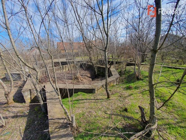 Teren intravilan 2840 mp cu fundatie - Jebel - 6