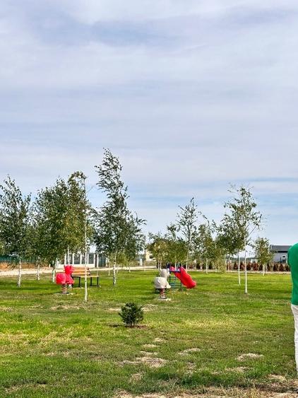 Oportunitate Eden Forest - 2