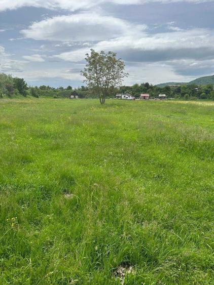 Teren de vanzare sighet - 1