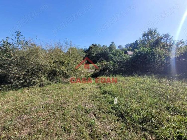 Teren intravilan in Poiana Campina 4285 mp parcelabil 11,6e - 2