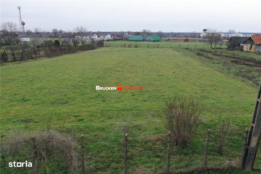 Teren intravilan de 2.623 mp in Les la 20 min de Oradea - 2