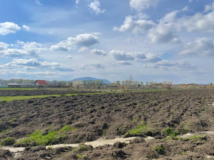 Lot de casa Stupini 480mp! - 5