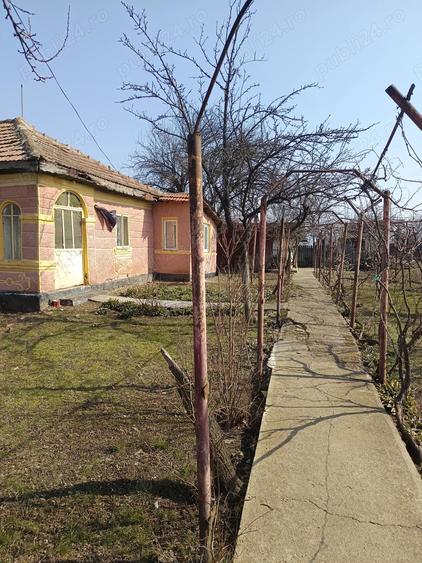 Vand casa sat Ro?ioru - 1