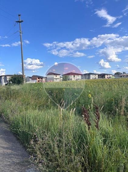 Teren Construcții intravilan de 20000 mp, în Nord-Vest