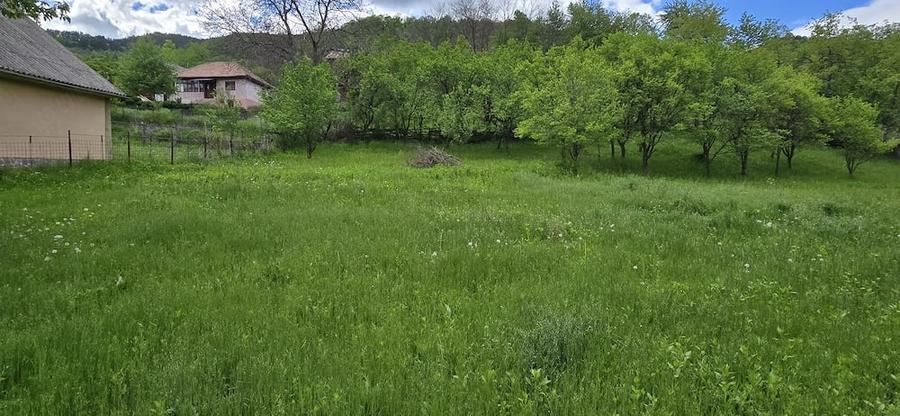 Teren de 1504 mp, în Gura Teghii