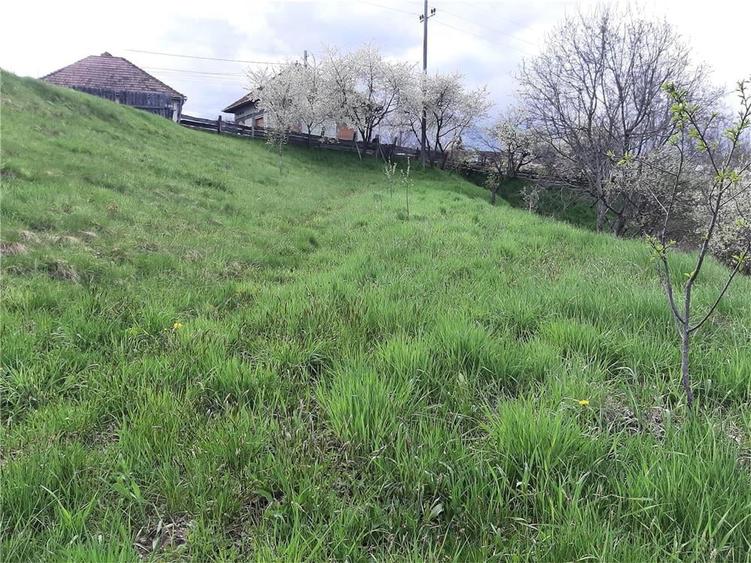 Teren de 1017 mp, în Arpașu de Sus
