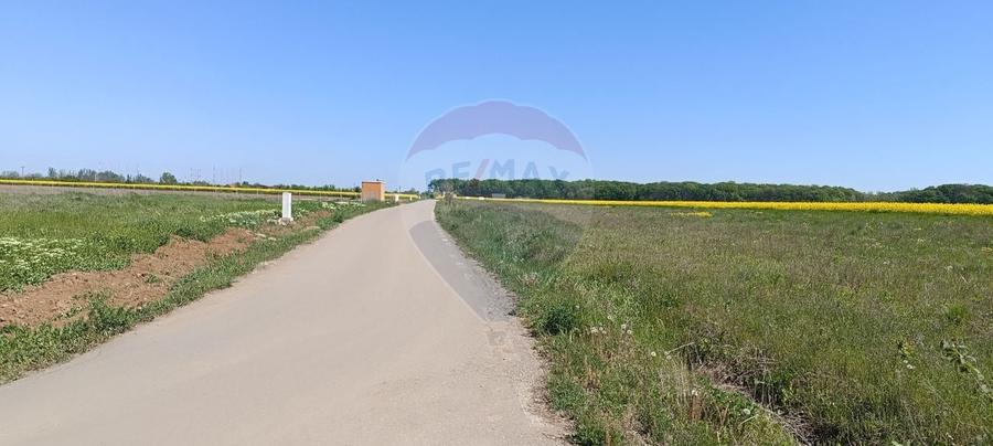 Teren Construcții intravilan de 980 mp, în Ciolpani