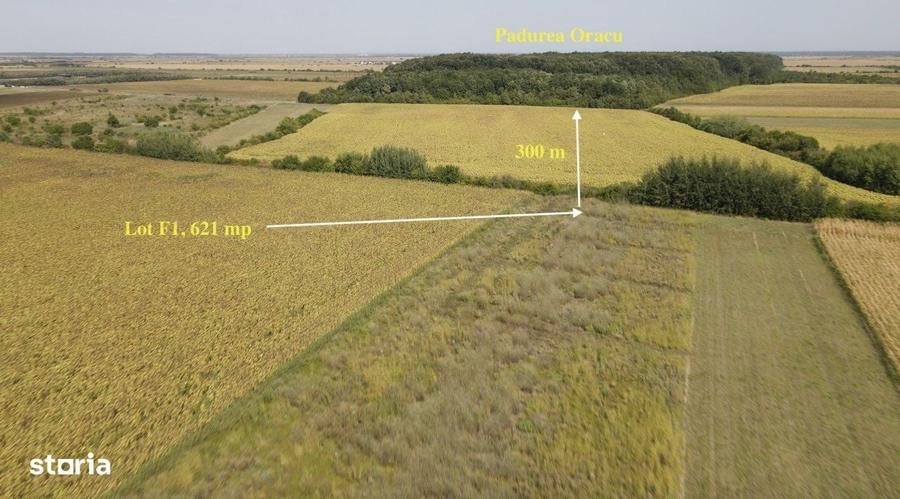 Teren cu vedere la padure, 621mp in rate 3 ani, zona Paradisul Verde - 2