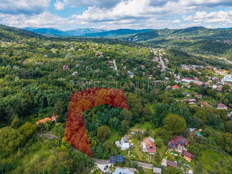 Teren Construcții intravilan de 3886 mp, în Podul Vadului