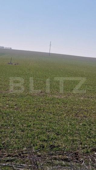 Teren intravilan cu o suprafata 1500 mp in zona Metro - 2