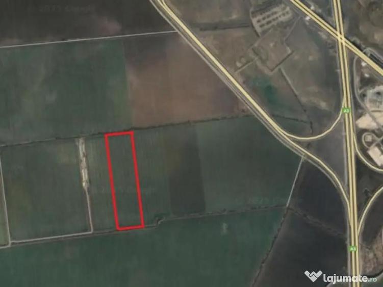 Teren 16.434mp, intravilan, Tunari-Lacul Pasarea - 4