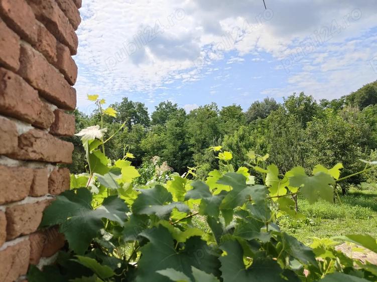 VAND CASA IN CAPU Piscului Godeni judetul Arges - 1