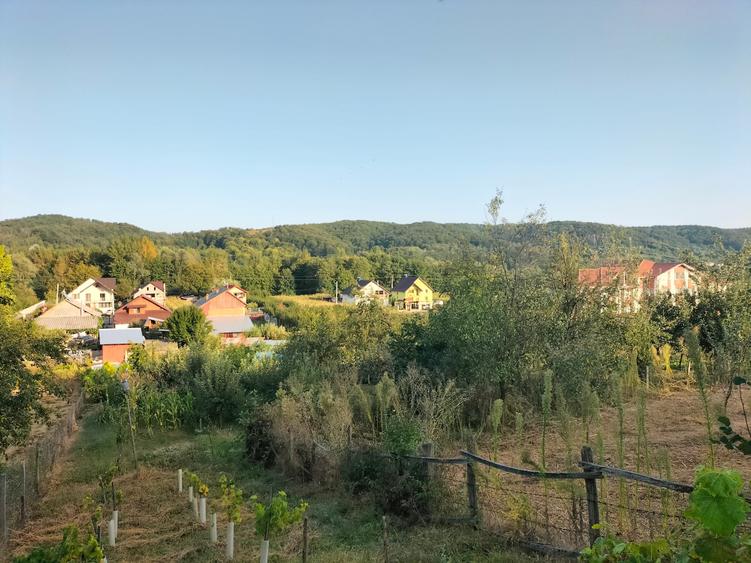 Casă la țară cu livadă, grădină și aer curat - Vulturești, Argeș - 10